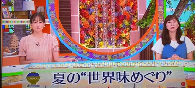 Local News Show Toshitoku SATV
