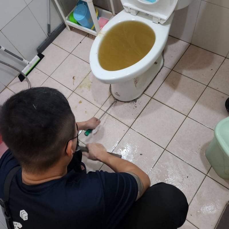 🔴通馬桶-尋找化糞池及整修-抽水肥