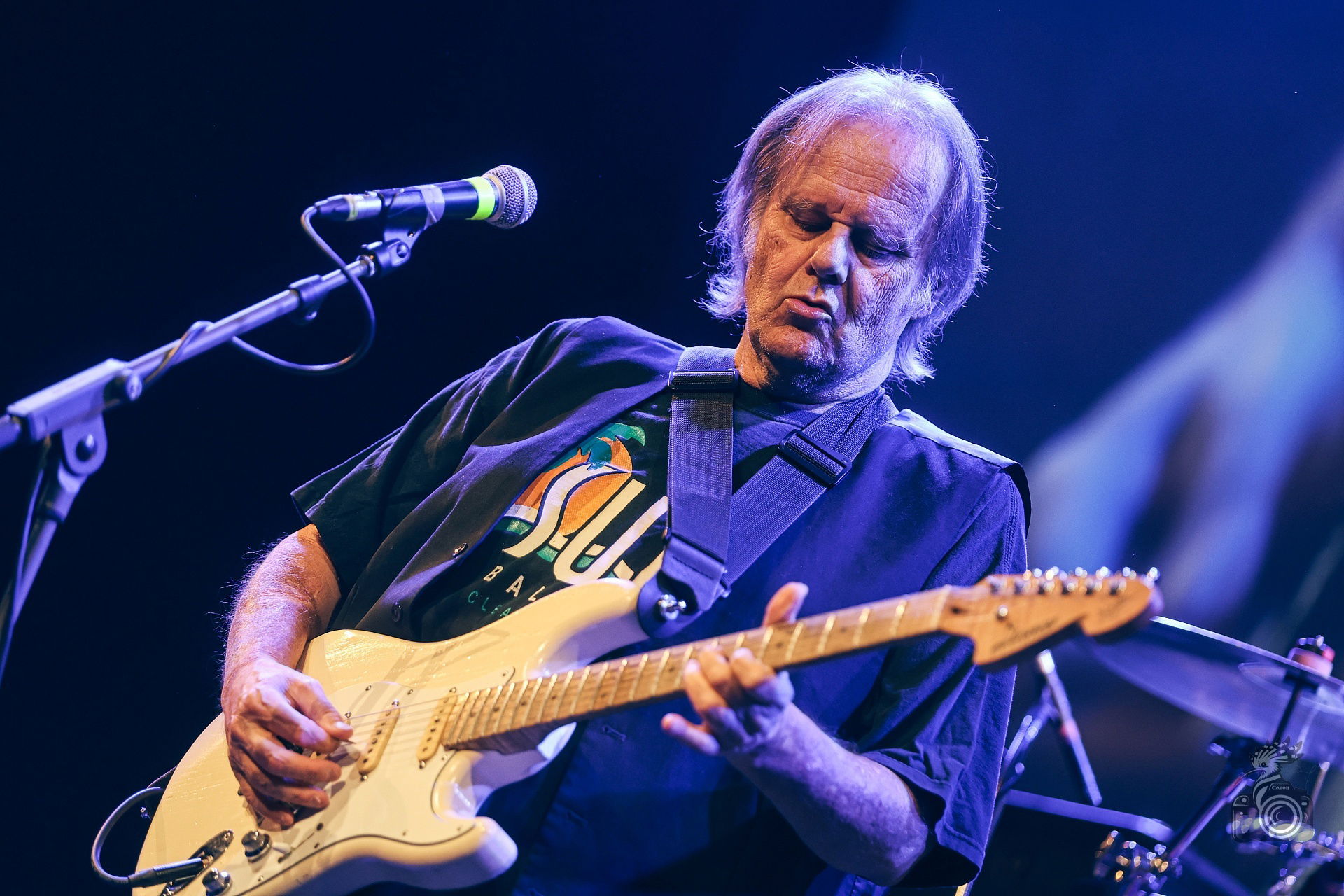 Walter Trout