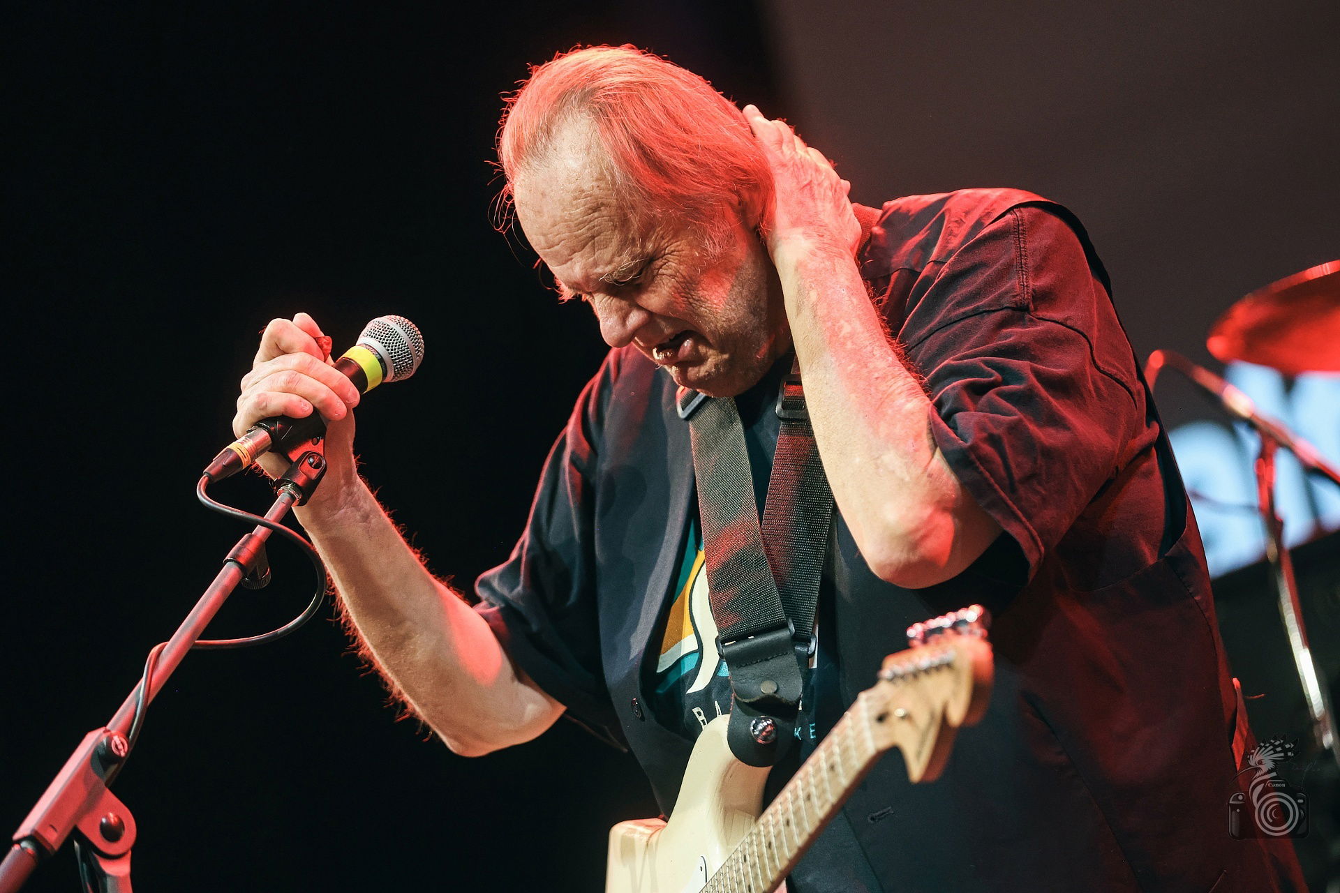 Walter Trout
