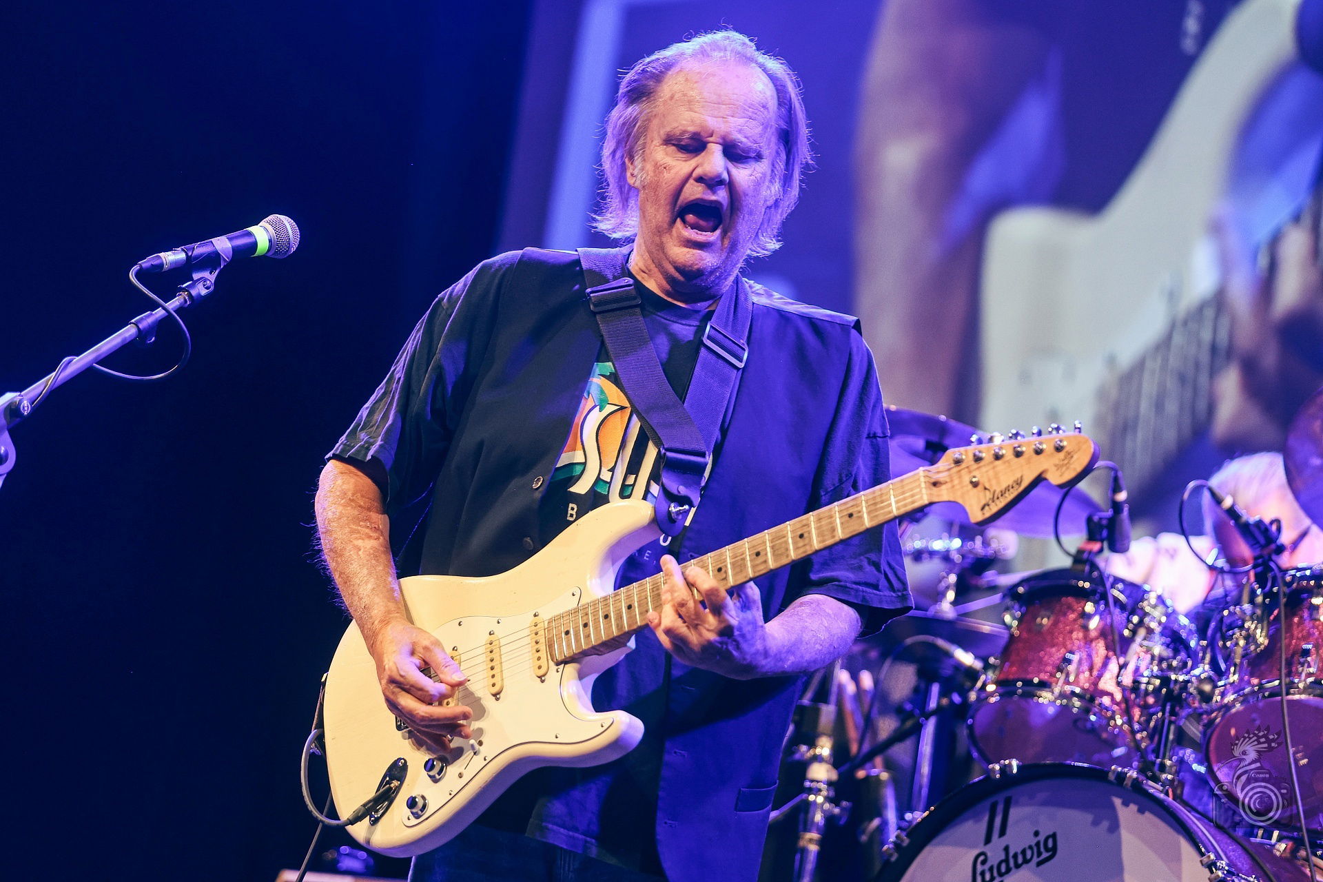 Walter Trout