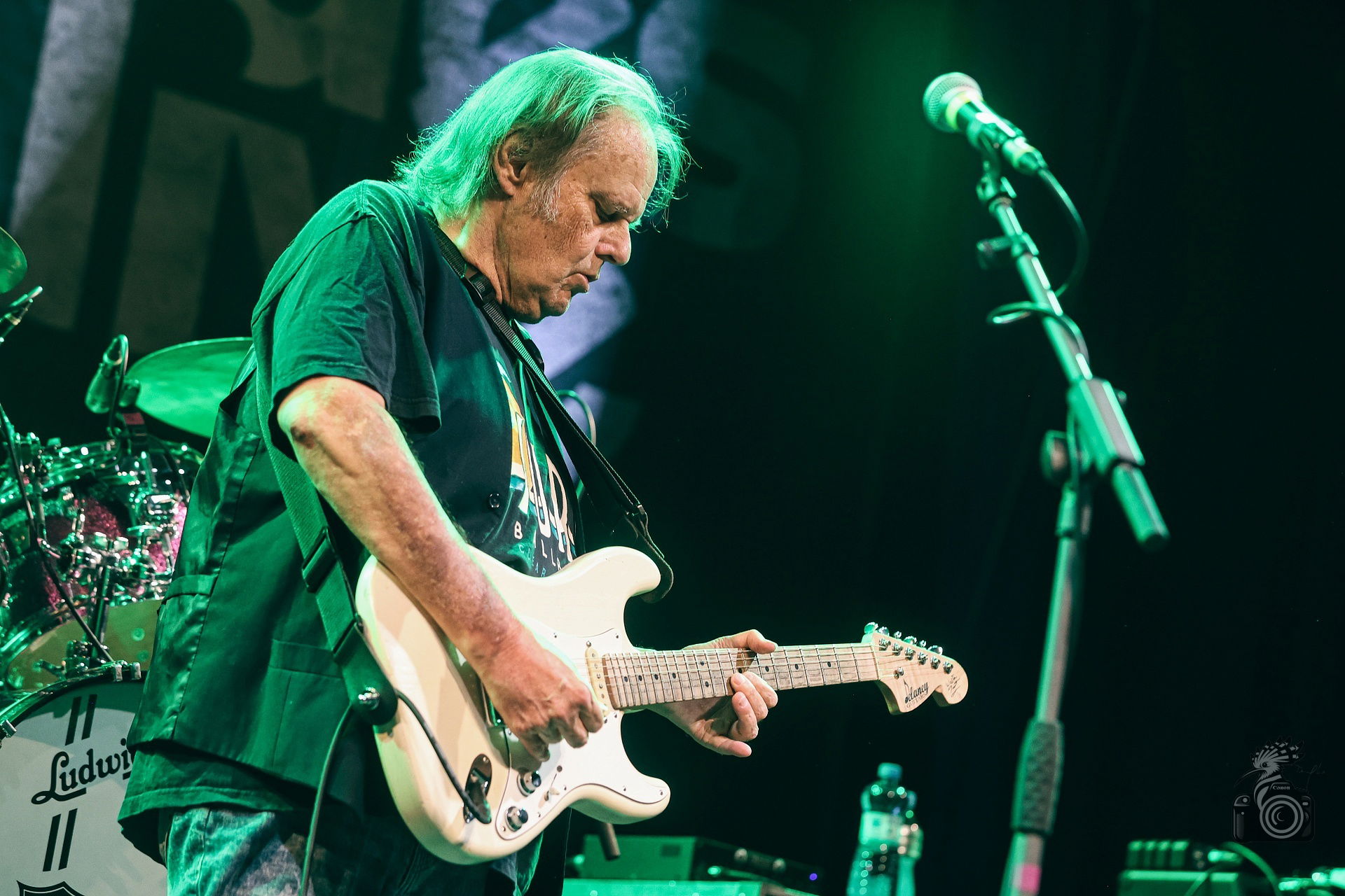 Walter Trout