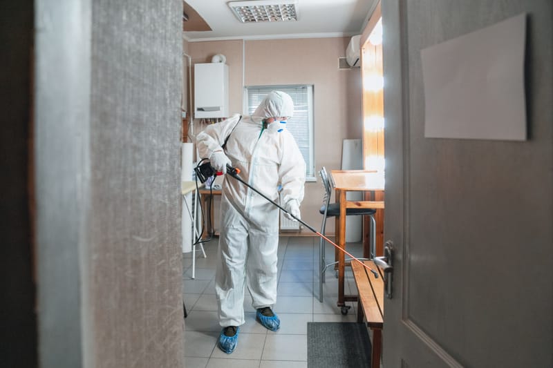 MOLD REMOVAL