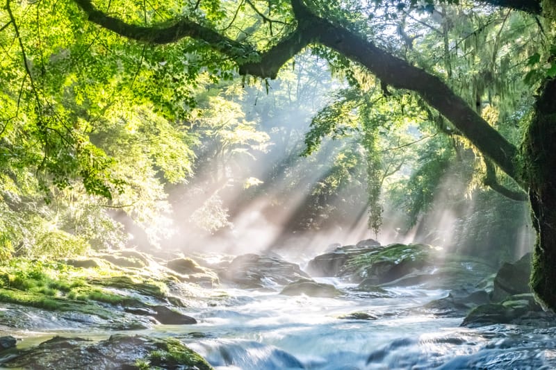 “The Counsel That Shapes Us”