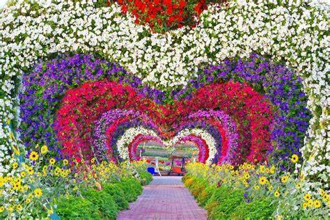 MIRACLE GARDEN