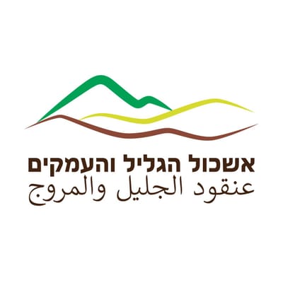 אשכול רשויות גליל ועמקים אשכול רשויות גליל ועמקים