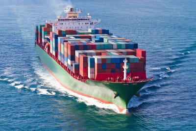 International Ocean Freight Y2024 Review & Y2025 Prospect