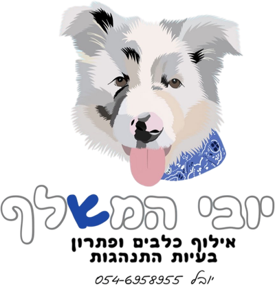 יובי המאלף-