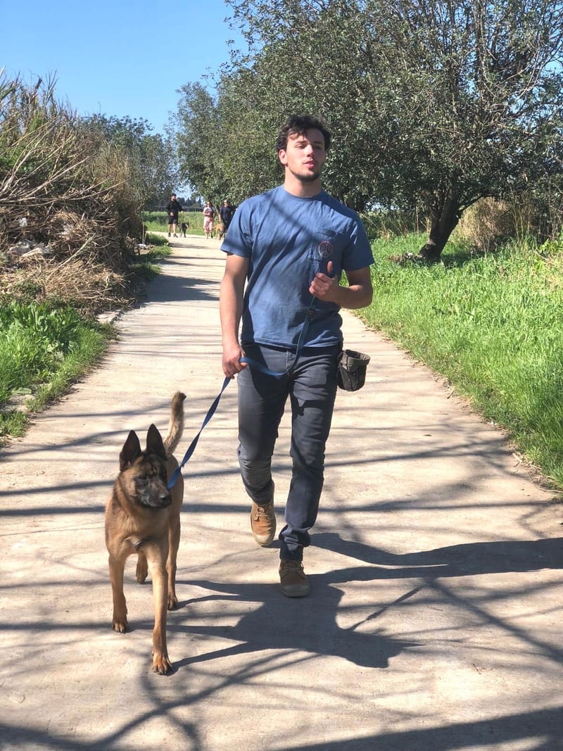 אילוף פנסיון