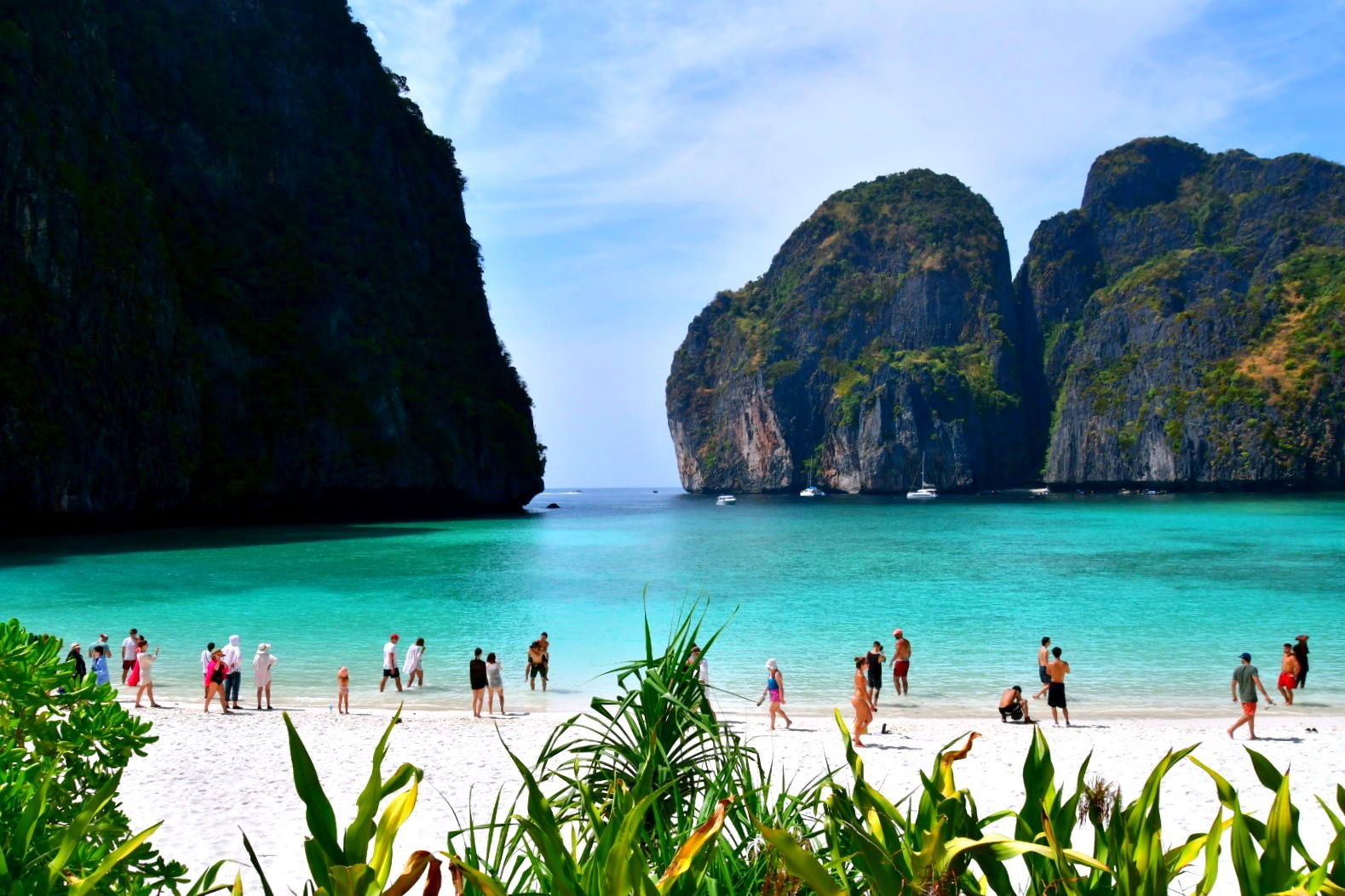 Archipel de Koh Phi Phi : Un Paradis Tropical à Découvrir