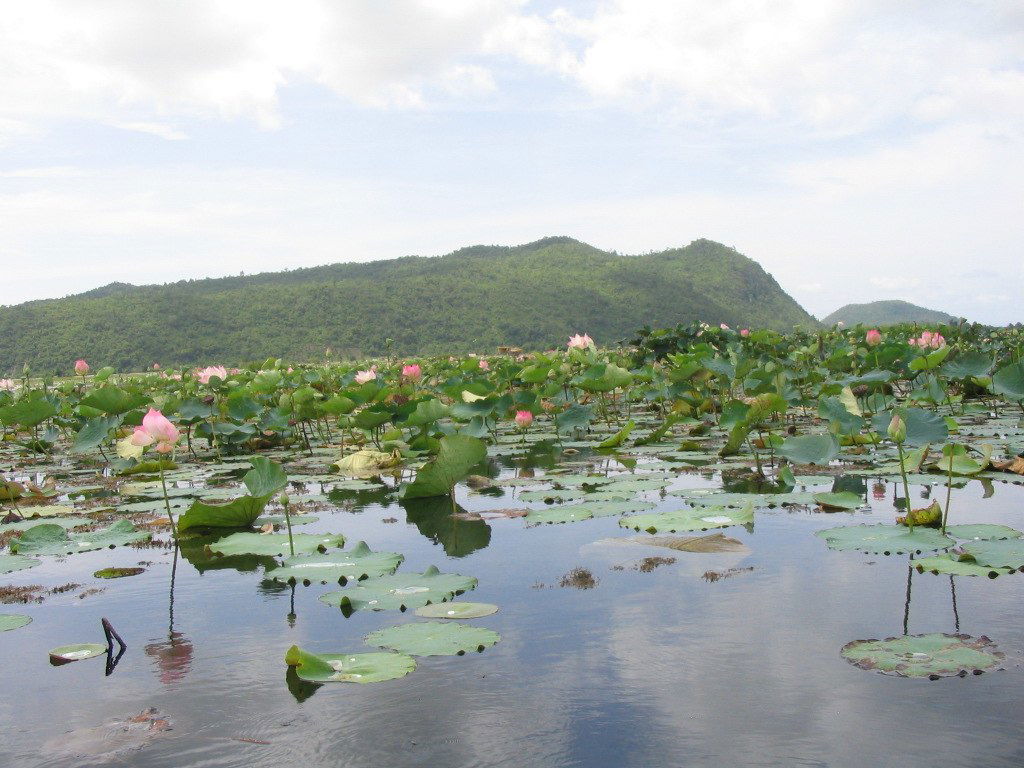 Lac Kamping Puoy : entre mémoire et nature, une halte incontournable près de Battambang