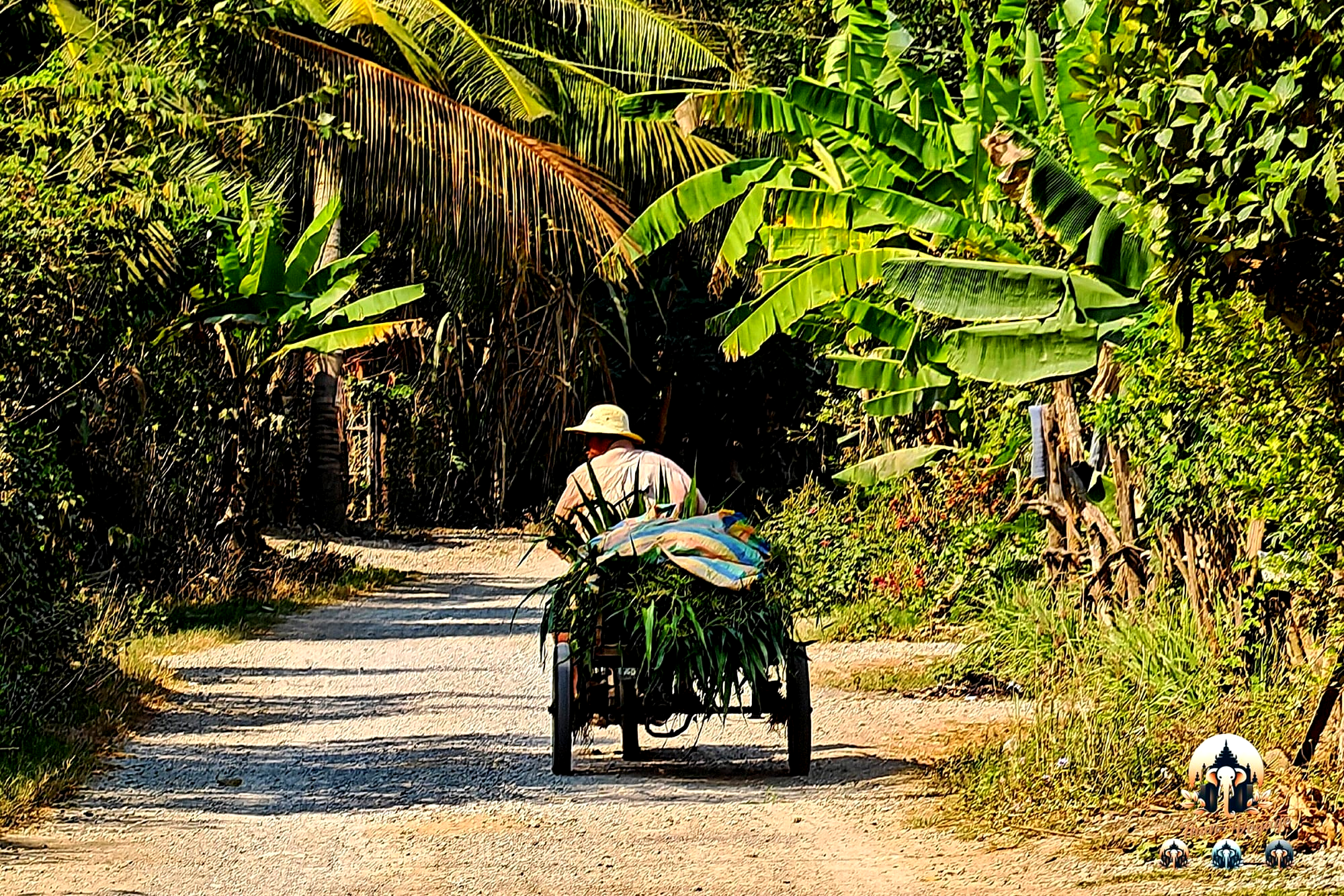 10/02/2026 - Campagne, Wat Banan et moment suspendu dans une pagode à Battambang