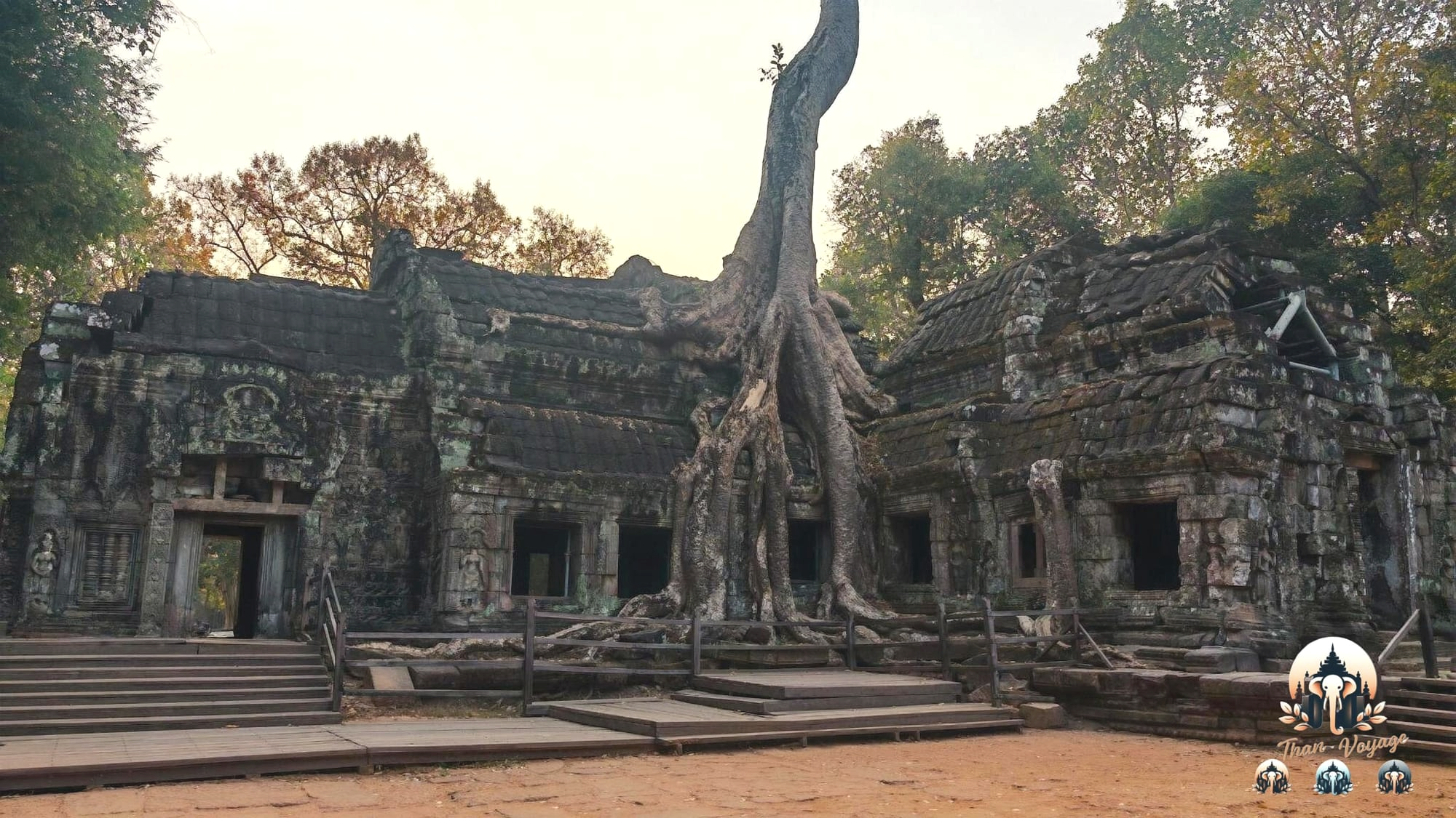 Ta Prohm à Angkor : pourquoi visiter le temple englouti par la jungle ?