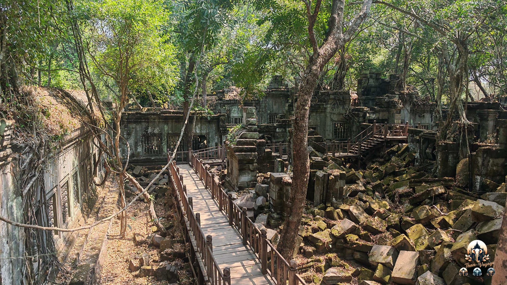 Beng Mealea à Angkor : le temple englouti à l’ambiance sauvage