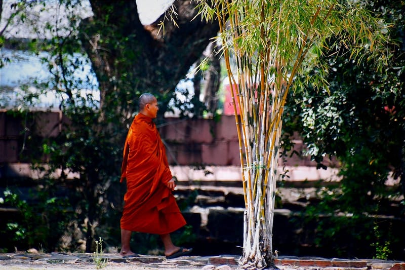 28/02/2024 - De Pak Chong à Buri Ram en passant par Phimai
