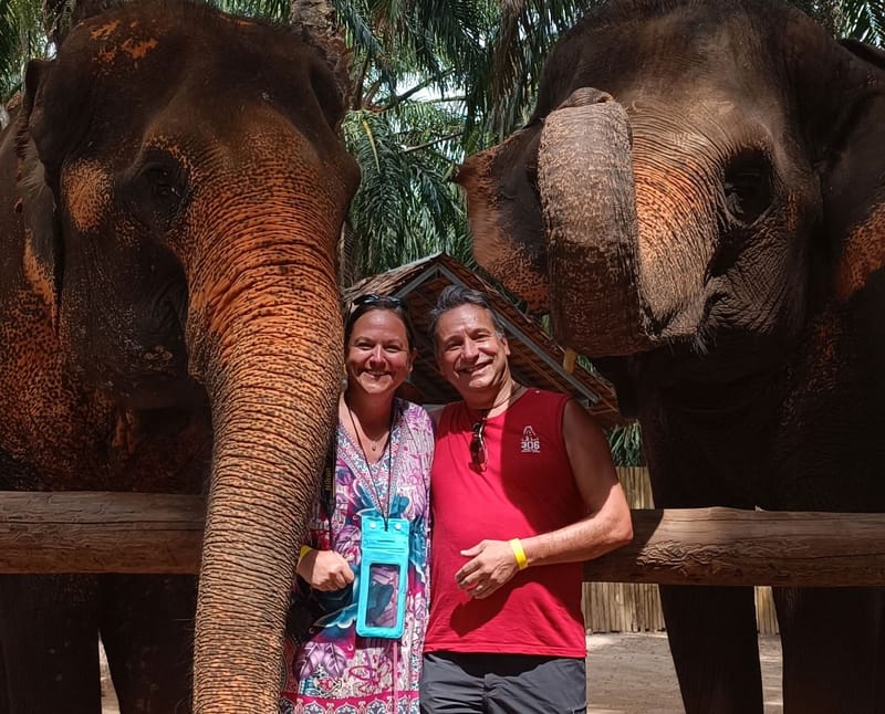 07/03/2024 – Rencontre avec les éléphants : une expérience émouvante… mais mitigée