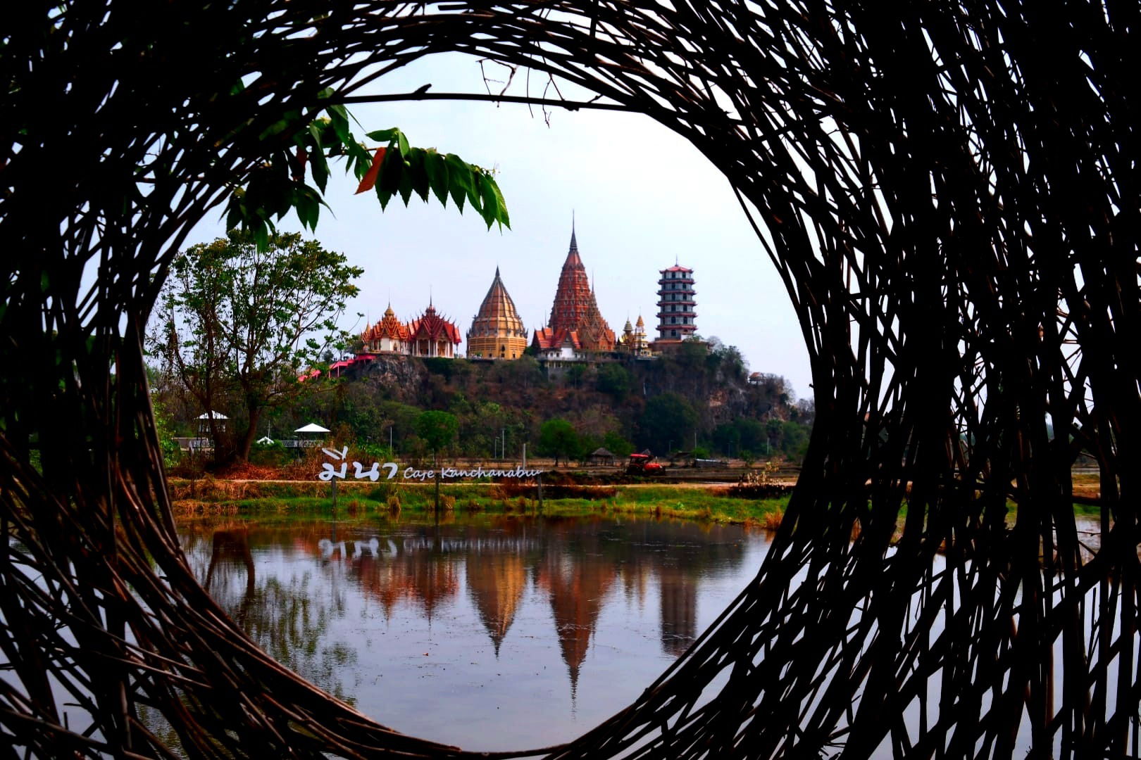 Vue sur le Wat Tham Suea depuis les rizières du Meena Café