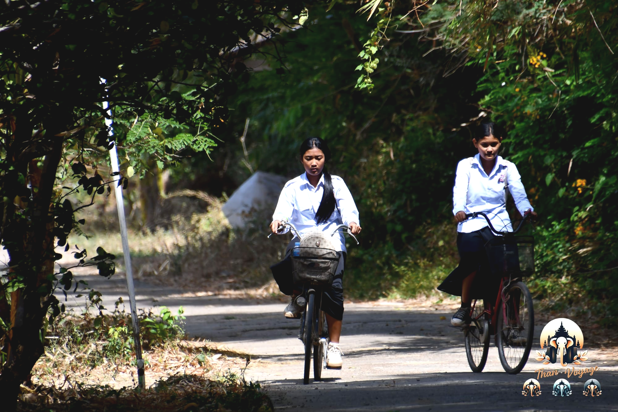 Ecolières à vélo sur une route ombragée de Koh Trong