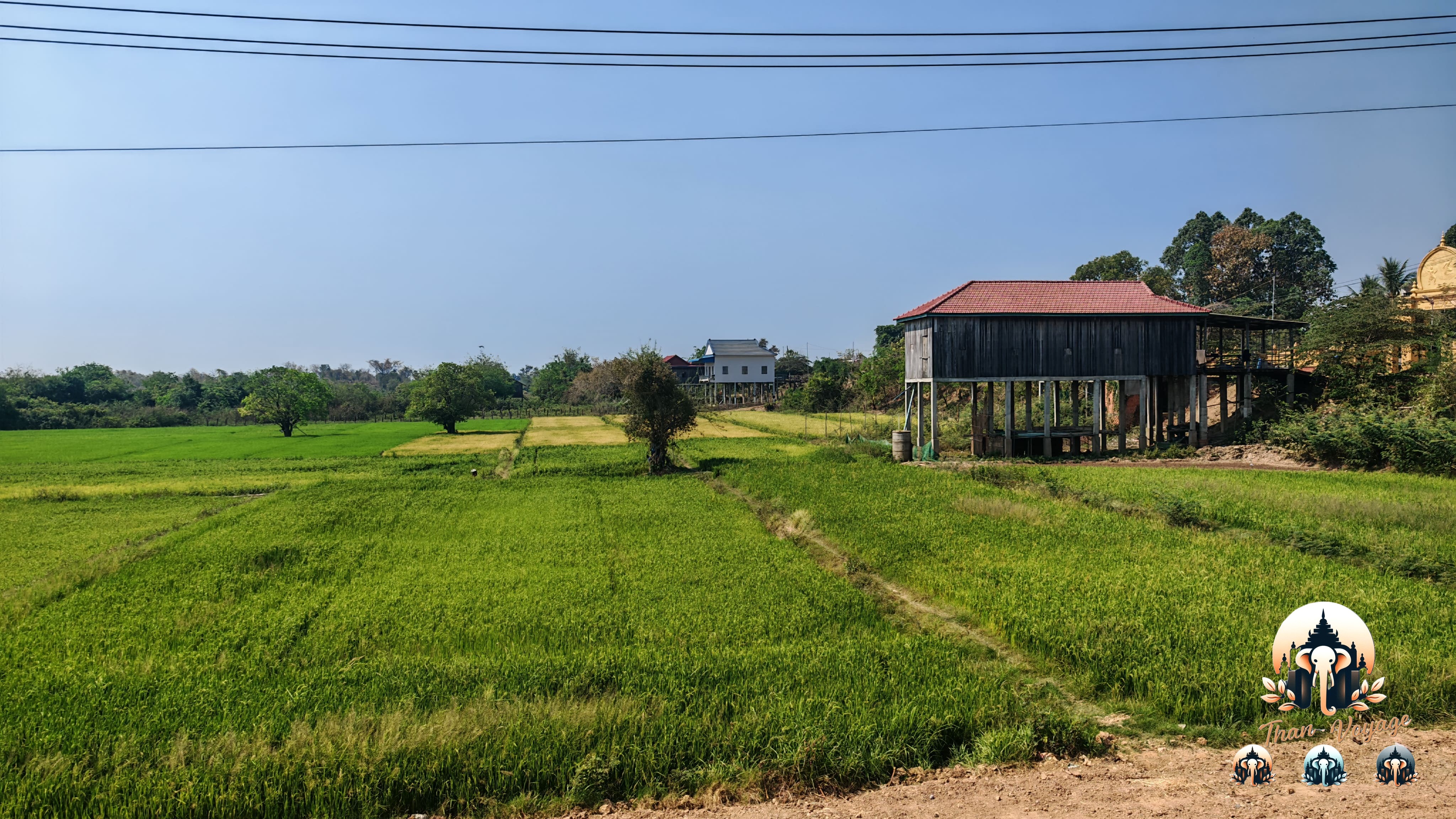 Rizières et maison sur pilotis dans la campagne de Kratie