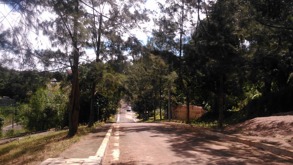 Kingsville Heights