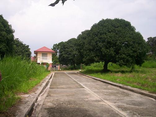 Pines City Executive Village
