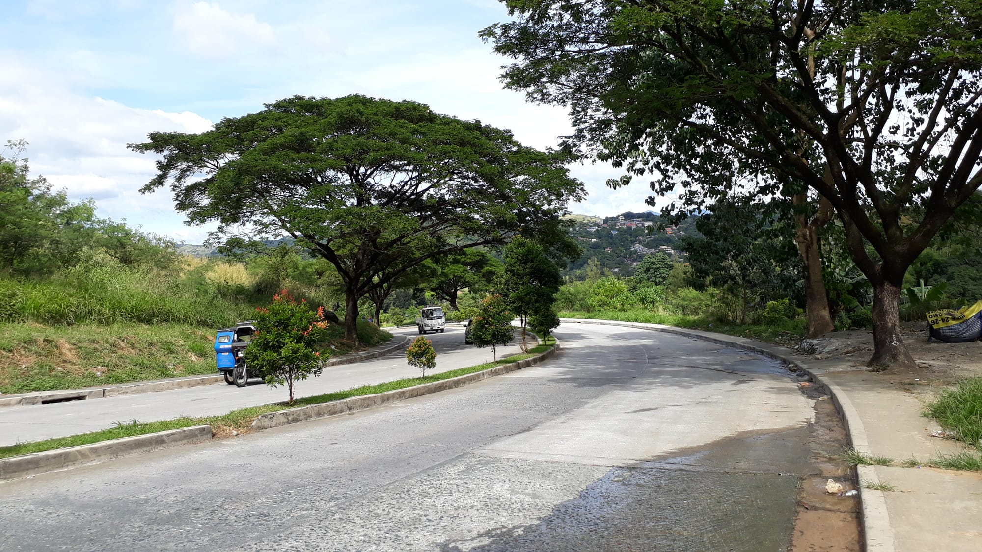 Blue Mountains Commercial & Residential Estate