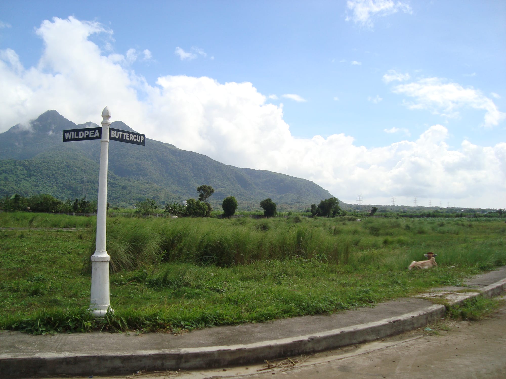 Ponteverde De Santo Tomas Batangas
