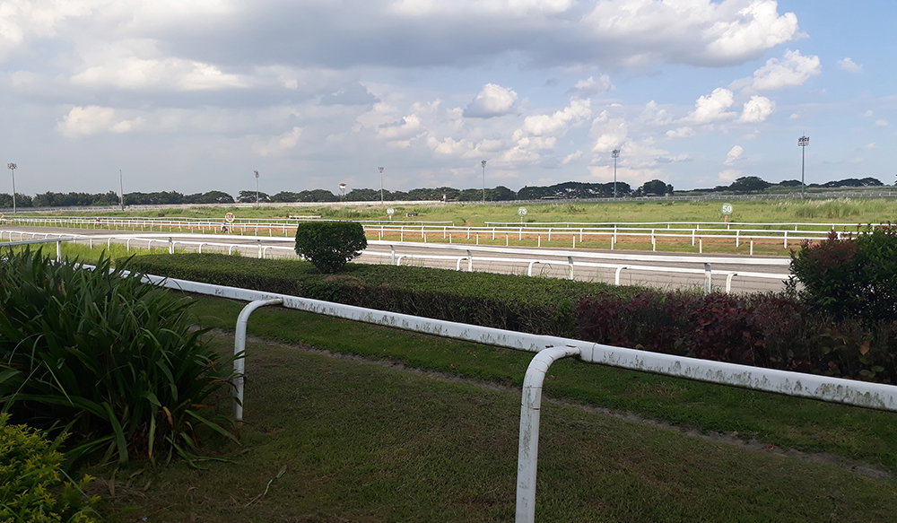 Saddle & Club Residential & Commercial Estate is located, des