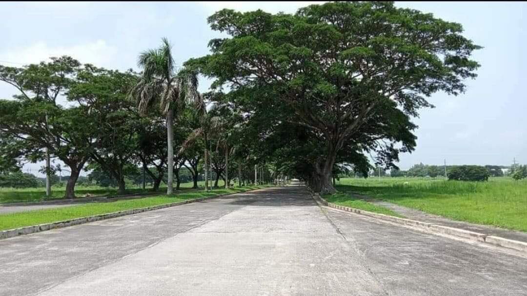 Saddle & Club Residential & Commercial Estate is located, des