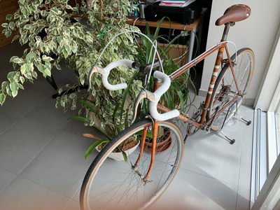 BLOG AGLIANICA CICLOSTORICA