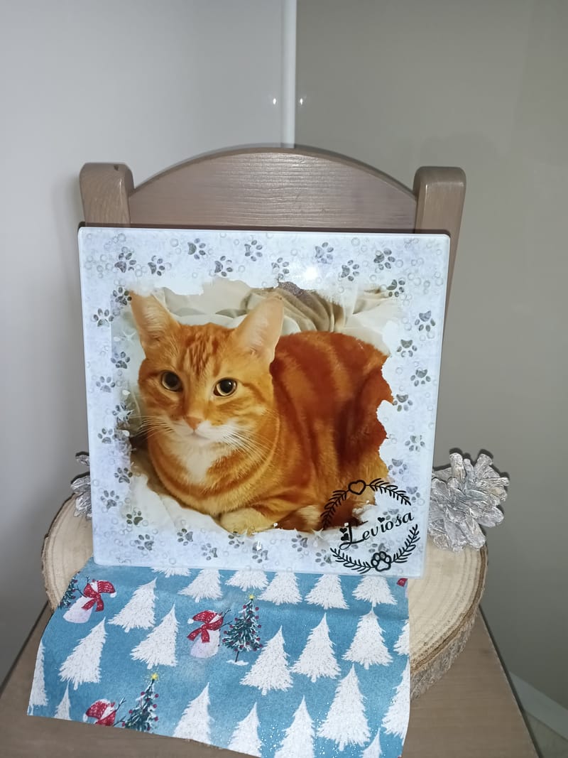 Panneau photo en verre sur pied