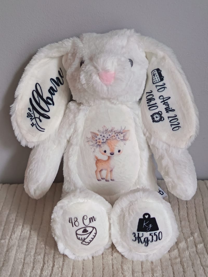 PELUCHЕ LAPIN PERSONNALISÉE – 30 CM**