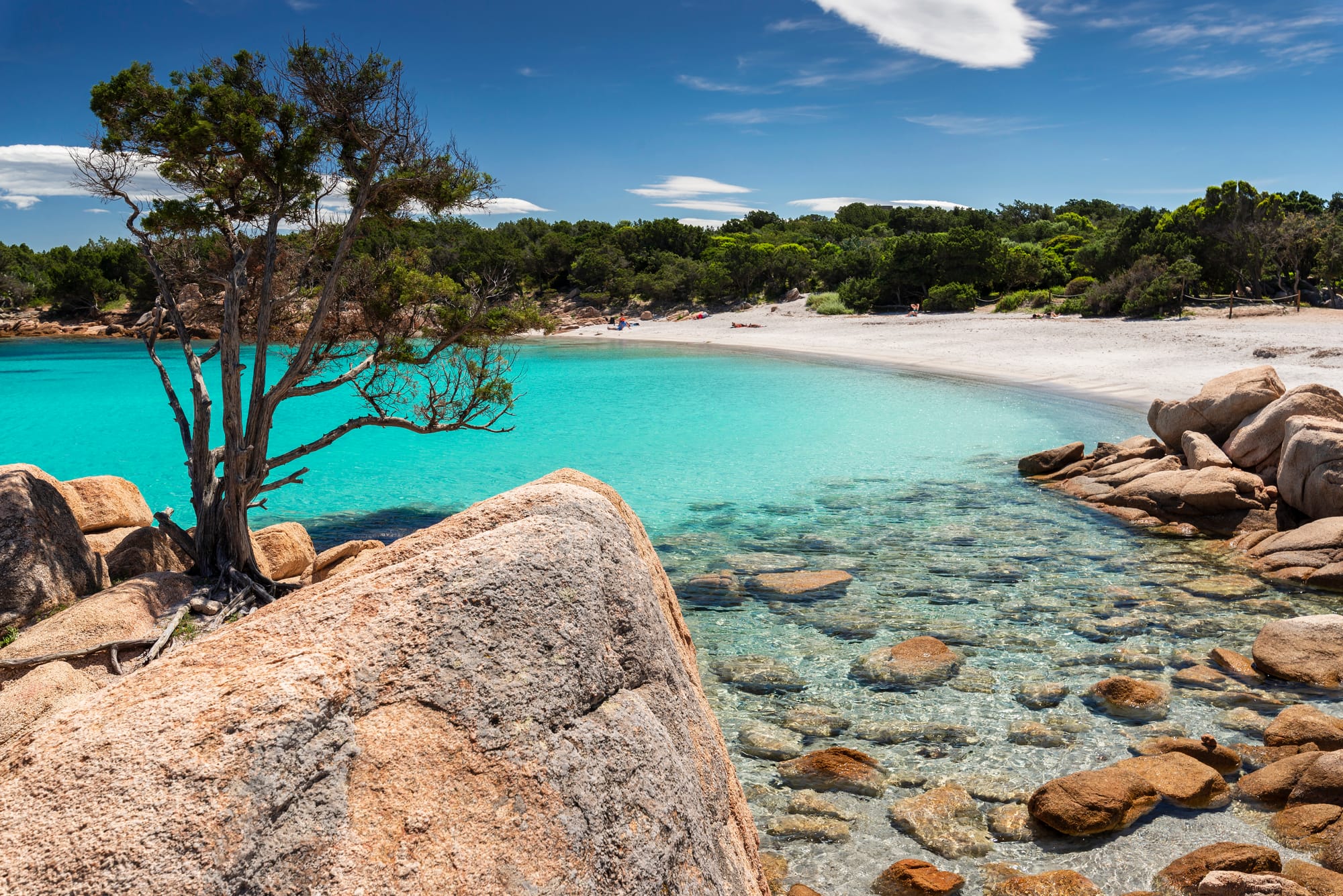 sardegna