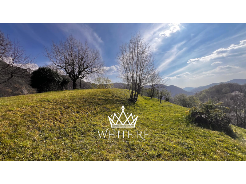 LUGANO-CARABBIA                  IN VENDITA TERRENO EDIFICABILE,         OPPORTUNITÀ PER INVESTITORI  PER PROGETTO RESIDENZIALE.