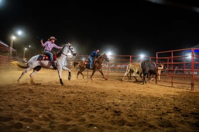 Montarias em touros e provas cronometradas são destaques do Franca Rodeo Music 2025