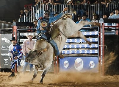 Franca Rodeo Music tem edição histórica com montarias em touros e shows inesquecíveis