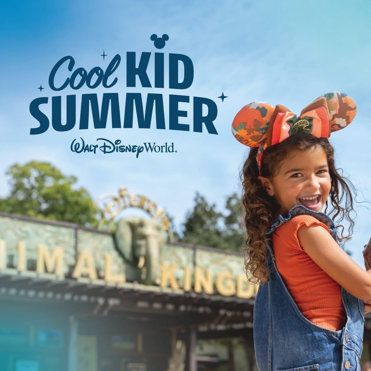 Summer Promotions at the Disney World Resort