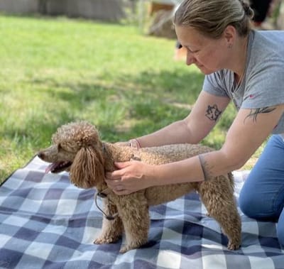 Miért van szükség állapotfelmérésre a kezelések megkezdése előtt?