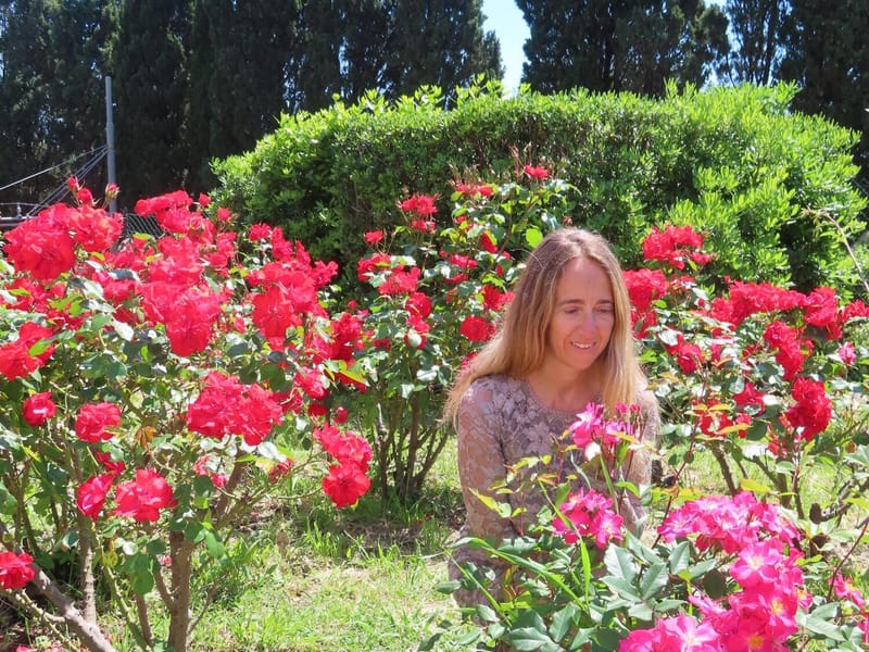 Scuola Misterica della Rosa Cristica ®