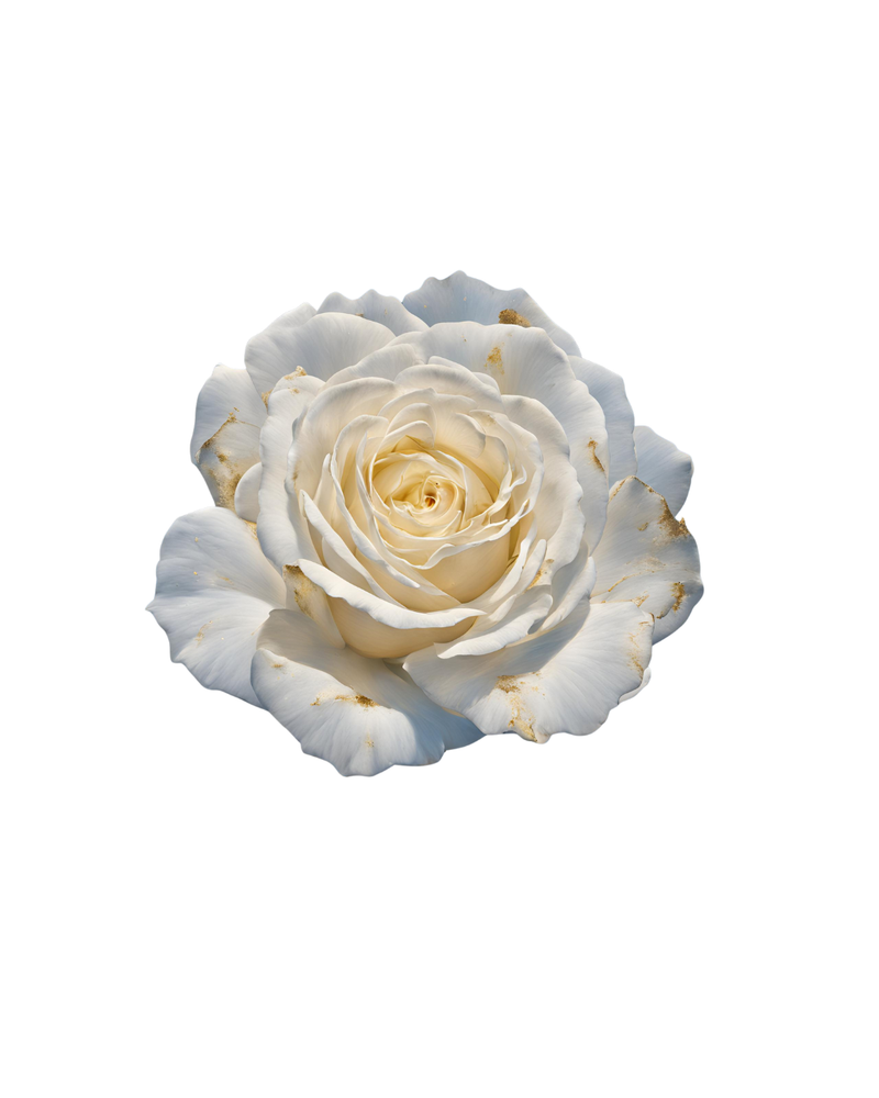 Tempio della Rosa Bianca: la Custode della Fiamma (Imbolc)