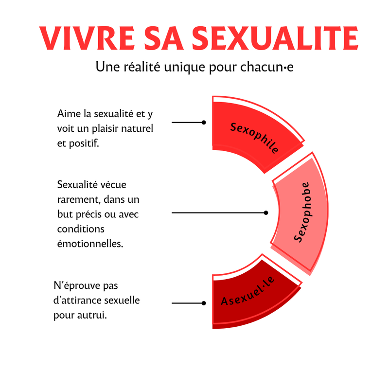 Sexophile, sexophobe, asexuel·le : trois regards sur la sexualité