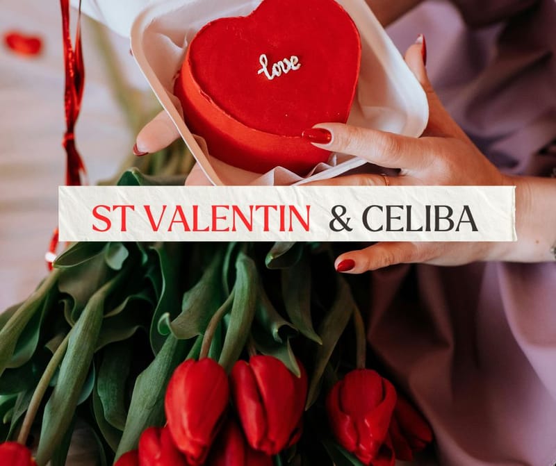 Saint-Valentin et célibat