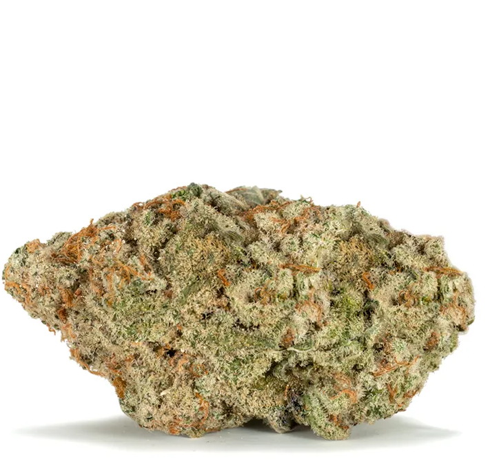 MAC-1 ( EVAP-INDOOR )
