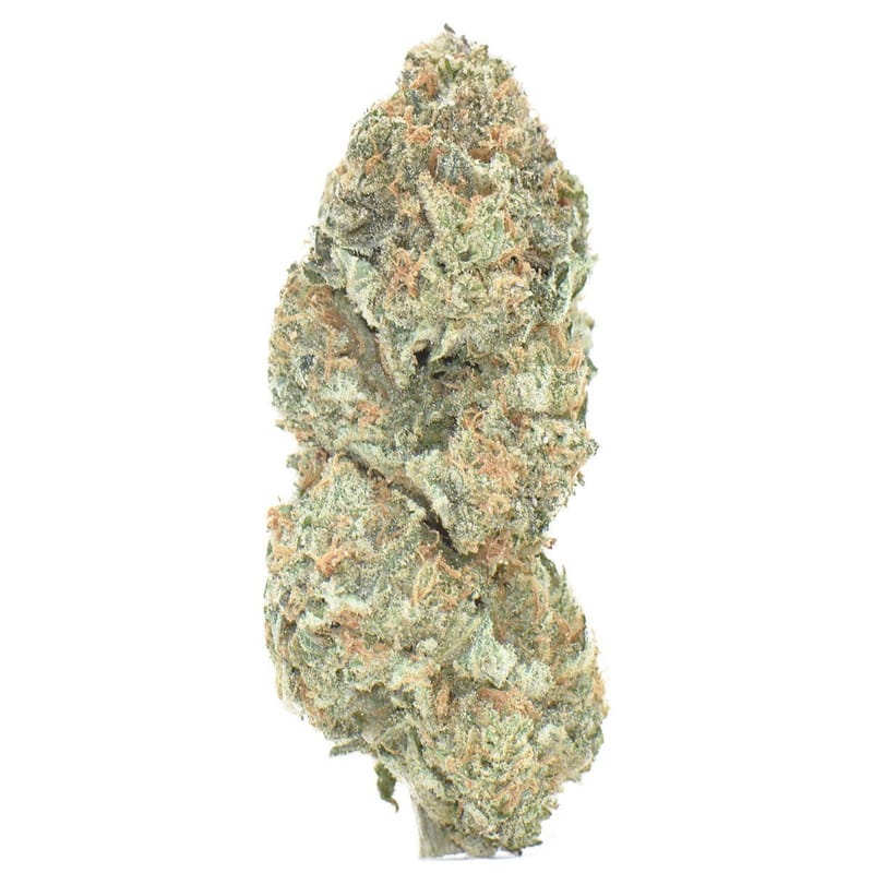 FRUIT CANDY (INDOOR)