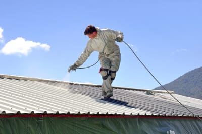 How Roof Painting Extends the Life of Your Roof