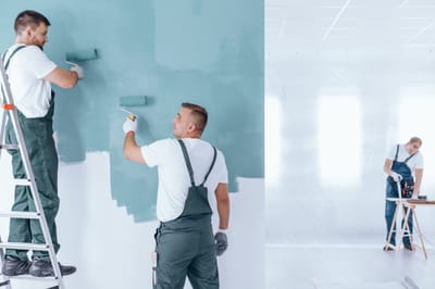 What to Expect When You Hire a Professional Painter in NZ