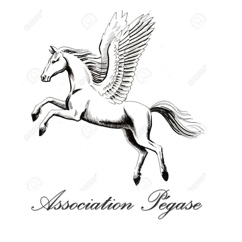 Association Pégase