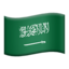 🇸🇦