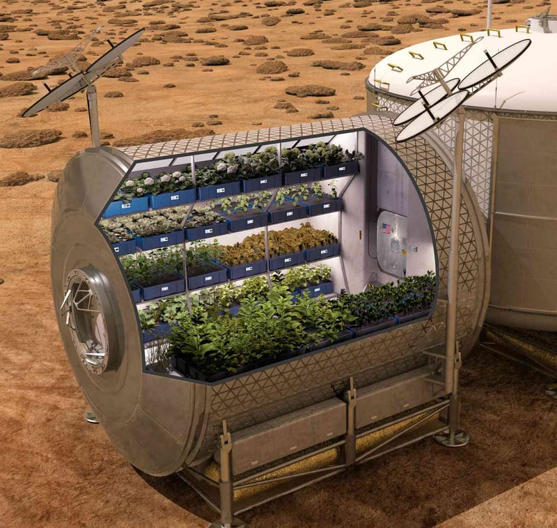 GROWING PLANTS IN SPACE