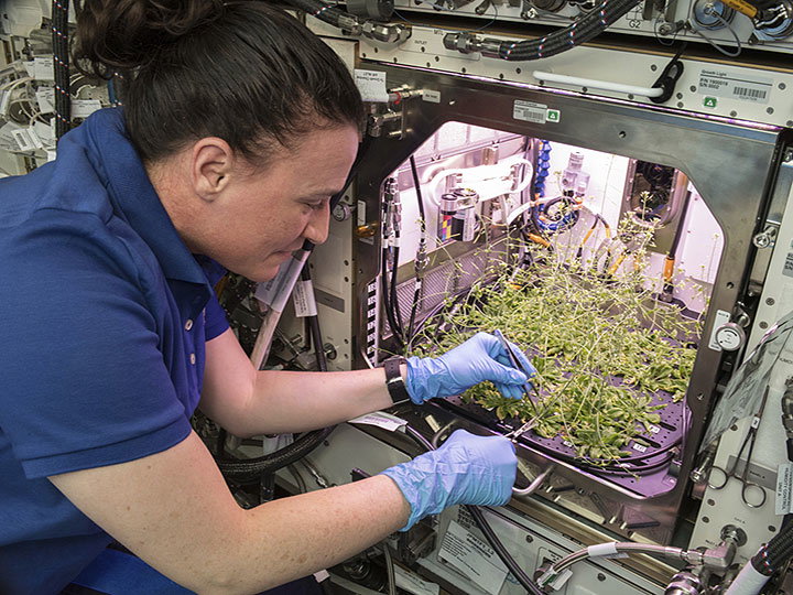 The Importance of Microgravity in Scientific Research